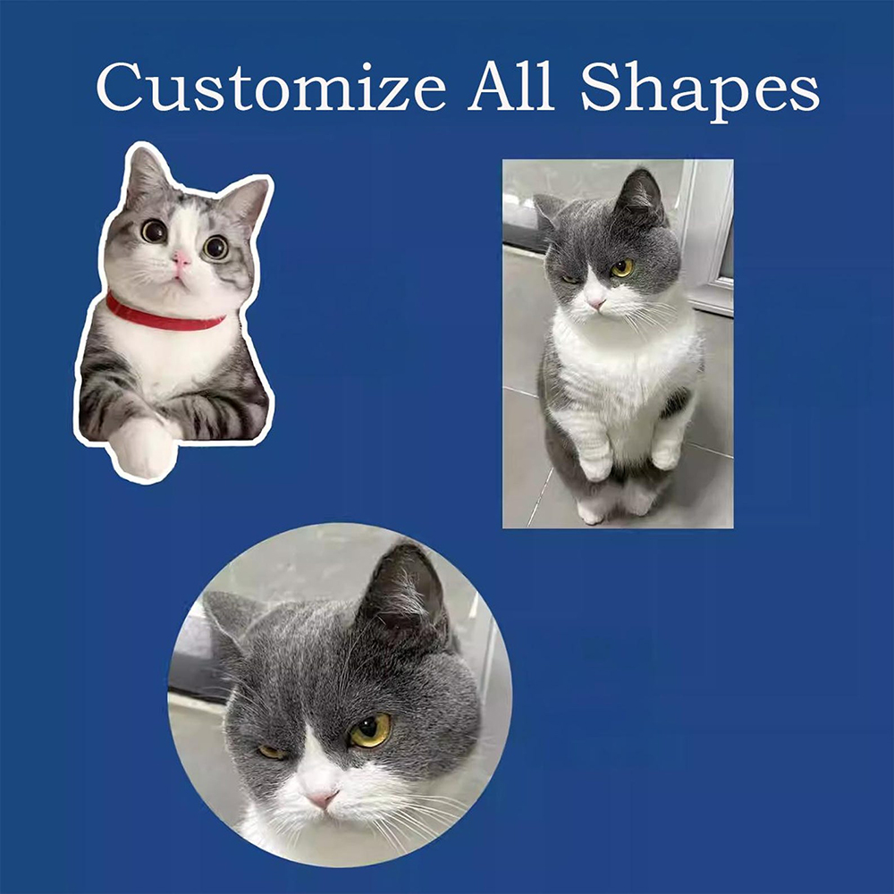 Custom Dog Animal Stickers Fun - Memo Pad Sticky incelemesi ve fiyatı